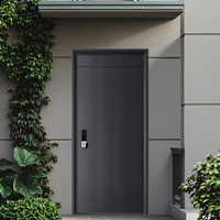 Puerta de Entrada de Seguridad Minimalista Moderna, Construcción de Aleación de Aluminio Antirrobo, Apertura Lateral Deslizante, Uso Comercial, Exterior y Escolar