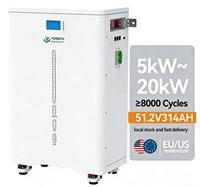 Baterai Rumah LiFePO4 Lithium 48V 51.2V 100Ah 200Ah dengan 6000 Siklus dan Suhu Operasi -20~60 untuk Penyimpanan Energi Surya