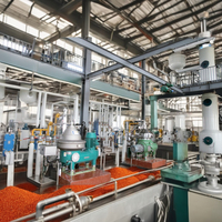 Ligne de production automatique de remplissage d'huile de palme, machine de remplissage d'huile d'olive, d'huile de sésame, de presse à froid et à chaud, machine de remplissage d'huile de noix de coco