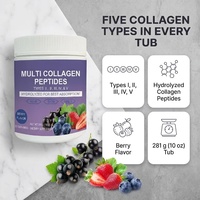 Poudre de peptides de collagène multi-types I-V, saveur baies, pour cheveux, peau et ongles, 30 portions, pot