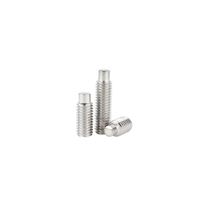 Vis de réglage à fente en acier inoxydable 18-8 SS SUS 304 316 316L A2 A4 70 80 avec pointe de chien DIN926 DIN417