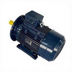 Moteurs électriques AC Speed YE3 IE3 4kw 5.5kw 220v/380v 50hz/60hz 3000 tr/min - Product Image 1