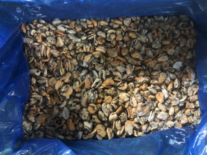 Precio de fábrica carne de mejillón sin cáscara mejillón <span class=keywords><strong>cocido</strong></span> congelado Carne de Mytilus edulis congelada - Product Image 3