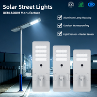 Lampadaire solaire intégré en aluminium moulé sous pression 100W IP65 étanche, lampe de route LED avec module SMD 6000K, éclairage haute visibilité