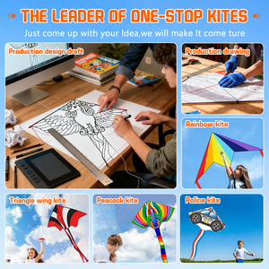 <span class=keywords><strong>Cometa</strong></span> Grande de Plástico PE con Impresión a Todo Color, Fácil de Volar, Diseño de Dibujos Animados, Venta al por Mayor, OEM/ODM - Product Image 3