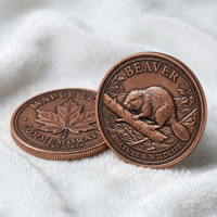 Pièce commémorative en métal OEM en gros, personnalisée, avec finition cuivre antique et relief 3D, motif nature et faune, pour l'approvisionnement en souvenirs
