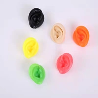 Modèles vivants mous de modèle d'oreille humaine de silicone grandeur nature d'oreille pour l'affichage
