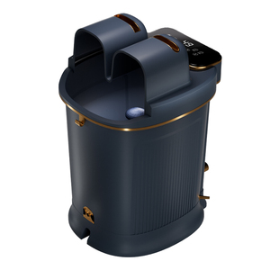 Máquina de Desintoxicación Iónica para Pies Ion Cleanse con Cinturón, Spa Iónico Dual para Pies, Masajeador de Baño para Pies - Product Image 2