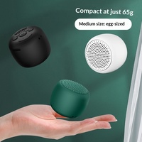 Speaker Pengumuman Suara Desain Sederhana Berpaten, Bergaya Klasik, Tali Gantungan Luar Ruangan, Portabel, Mini, Plastik, Dapat Memasukkan Kartu