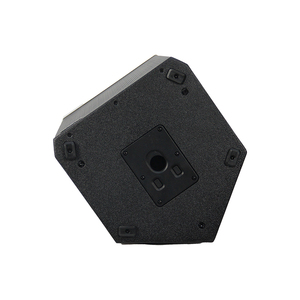Altavoz de escenario de Audio profesional Altavoz de madera activo de 15 pulgadas Amplificador de clase D de 800W Altavoz alimentado por DSP - Product Image 6