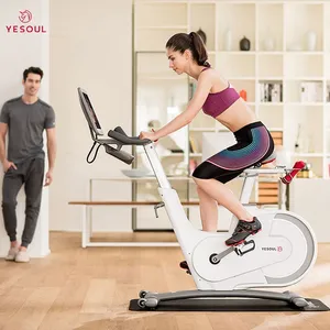 Buy Spin Bike YESOUL V1-PLUS Smart Exercise Spin Bike 21.5-inch Smart Spinning Bike