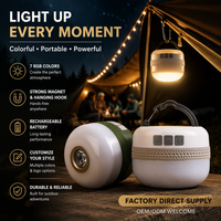 Lampe de tente de camping portable à LED Ampoule d'éclairage extérieur ultra longue Endurance Lampe suspendue Lampe de camping Lampe de poche