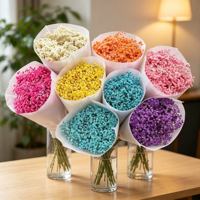 Fleur de Gypsophile Préservée Grande et Séchée Faite à la Main Marque KS pour Mariage, Saint-Valentin, Nouvel An, Thanksgiving