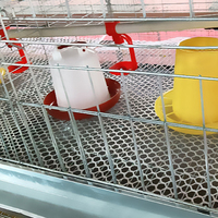 Équipement d'Élevage Avicole Automatique: Cage à Poulets de Chair pour l'Élevage