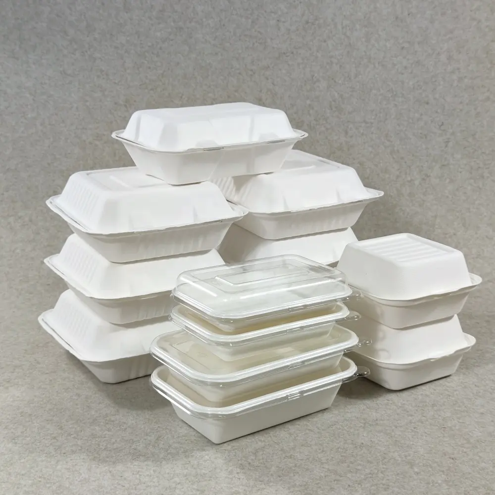 Phân Hủy Sinh Học Vuông Tre Bagasse Hộp Đựng Thực Phẩm