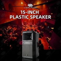 Haut-parleur amplifié DSP classe D 15'' 500W RMS total 131dB, grille en acier, boîtier en plastique, haut-parleur de scène professionnel