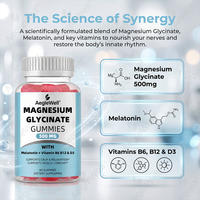 Gummies de glycinate de magnésium avec vitamines pour adultes, fabrication OEM/ODM, marque privée – Végétarien et végétalien