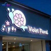Enseigne LED personnalisée en acrylique, lettres en acier inoxydable, alimentation basse tension, logo lumineux pour commerce, maison, devanture de magasin, mur, bar