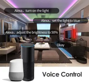 아마존 핫 세일 Tuya Wifi 키트 음악 동기화 음성 제어 Google 홈 Alexa 5M 10M 스마트 5050 RGB LED 스트립 조명