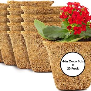 Maceta de Fibra de Coco para Plantas, Jardín y Flores, Canadá, Estados Unidos - Product Image 3