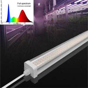 Lámpara LED de espectro completo T12 de 150 grados para cultivo de flores y suculentas en invernaderos de kiwi y <span class=keywords><strong>uva</strong></span>, con garantía de 3 años e IP54. - Product Image 1