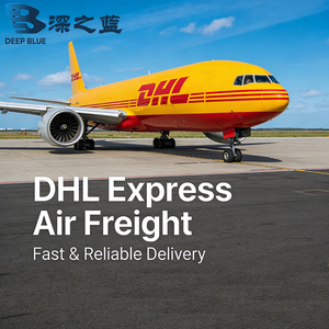 Servizio di Spedizione Porta a Porta DHL UPS Fedex Express verso Pakistan, Emirati Arabi Uniti, USA, Regno Unito, Italia, Francia, Canada e Servizio Logistico Mondiale - Product Image 6
