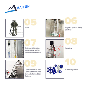 Mini Double Wall Jacketed Bioreactor Fermenter 1L 3L 5L Glass Stirred Tank with Price for Microbial Research - Product Image 2