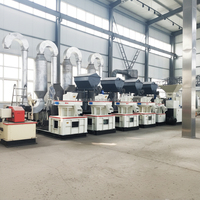Brûleur de particules de paille/broyeur de particules de sciure de bois/grande machine à particules de biomasse/machine à particules de copeaux de bois