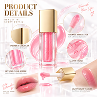 Huile repulpante pour les lèvres à base de plantes RTS 5ml, hydratante, effet brillant verre, 6 styles, faible MOQ 3 pièces, vente en gros, logo personnalisé
