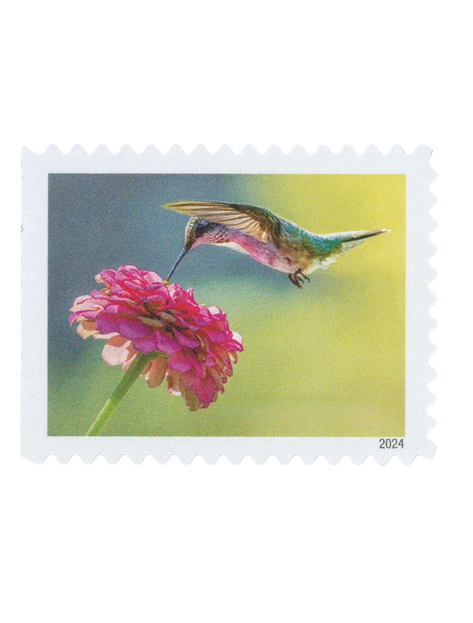 2024 ความสุขในสวน MY-RX276