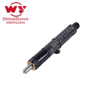 Injecteur de carburant Common Rail de haute qualité WEIYUAN 65101017051 65.10101-7051 pour tracteur, camion, pièces de moteur diesel 6BT