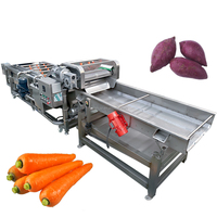 Machines de nettoyage et de traitement industrielles de haute qualité pour légumes, fruits, soja, maïs, pommes de terre, tomates, carottes, gingembre (laveuse à bulles)