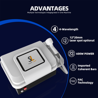Garansi 1 Tahun 4 Wave Diode Laser 808nm untuk Bisnis Penghilangan Rambut Jangka Panjang - Garansi 3 Tahun Epilasi Profesional