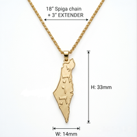 Collier en acier inoxydable plaqué or 18 carats avec carte d'Israël, pendentif étoile de David, bijoux juifs en or, collier Magen David pour femmes
