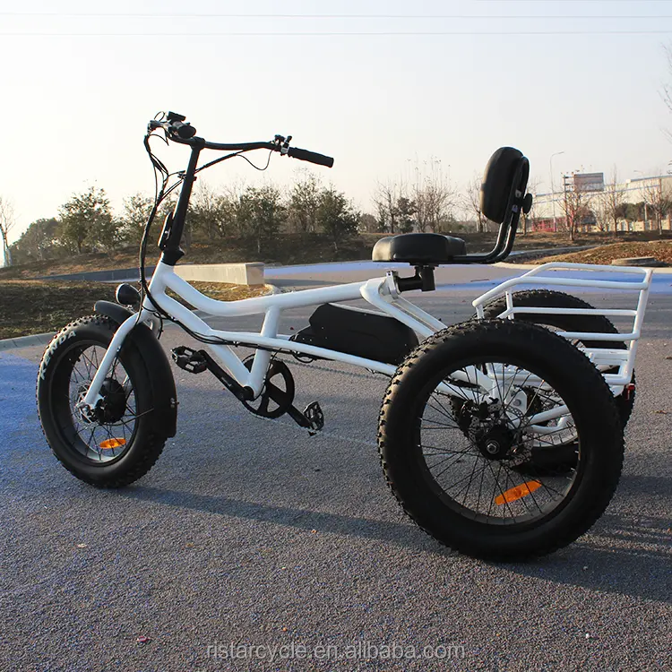 Fat Tire Trike 20Inch Adult Freestyle Hunting Cargo Electric Three Wheel Tricycle Ebike With Basket
