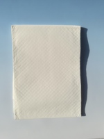Chucks Pads, sous-couche jetable pour adultes, extra-large, super absorbante, pour incontinence, protège-matelas, coussinets pour uriner pour adultes