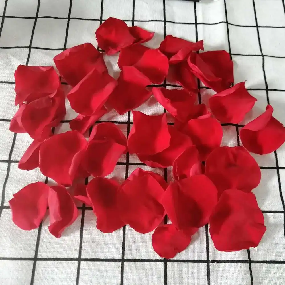 Colorful Preserved Rose Petals For Wedding Party Festival Decoration