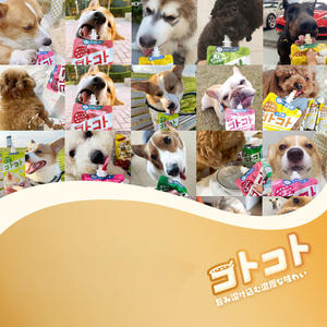 Fábrica al por mayor Pet Lactobacillus <span class=keywords><strong>Treats</strong></span> 100g Cat Treat Snack bolsa de comida húmeda Cat Liquid Snack fabricación tratar para gato perro - Product Image 6