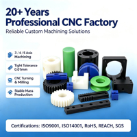 Personalizzazione OEM ODM, Parti in Plastica di Precisione Lavorate a CNC, Lavorazione CNC di HDPE, POM, PEEK, PTFE