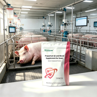 Prémélange pour truies en gestation - Réduit le temps de mise bas et stimule la lactation