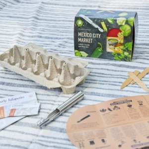 Trios de voyage Kit de culture de <span class=keywords><strong>jardin</strong></span> à la maison avec poivre de Cayenne plante pépinière Pot de fleur conception utilisation du sol cadeaux de jardinage idées de panier - Product Image 3