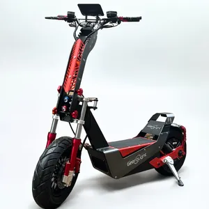 Scooter électrique tout-terrain de course pour adultes F8 72V <span class=keywords><strong>4000W</strong></span> 50ah avec moteur <span class=keywords><strong>QS</strong></span> et contrôleur 90A - Product Image 1