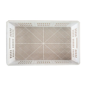 Incubateur numérique industriel à taux d'éclosion de 98 %, panier d'incubation en nouveau matériau PP pour oies, autruches, poulets, canards et dindes - Product Image 1