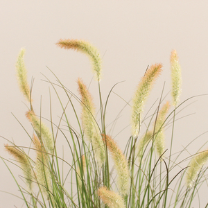 JWP428 Plantas de hierba artificial, plumas densas y esponjosas, cola de <span class=keywords><strong>perro</strong></span>, plumas de caña grandes, hierba de <span class=keywords><strong>Pampa</strong></span> - Product Image 4