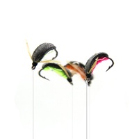Pêche à la carpe Zig Bug Fly Boatman Pop Up Insecte Mimic Beetle-Like Pêche à la mouche Mouches Leurre pour Hair Rig Hélicoptère Combi Rigs