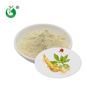 Bột Tinh Khiết Hòa Tan Trong Nước 100% Chiết Xuất Lá Nhân Sâm Bột Chiết Xuất Nhân Sâm Panax Trắng - Product Image 1