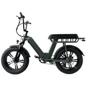 extra flexible cheaper electric fold bike 20" Aluminum Alloy 6061 Frame