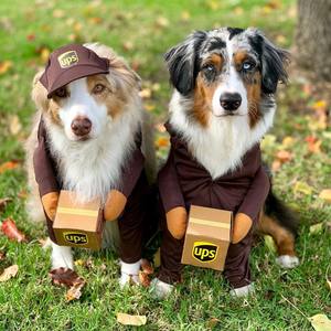 Disfraz de UPS para Mascotas, Traje de Transformación para Perros de Razas Medianas y Grandes, Ropa Divertida de Invierno con Accesorios en Caja, Paquete Marrón UPS - Product Image 1