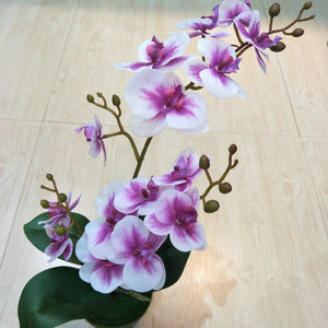 ดอกไม้ประดิษฐ์ กล้วยไม้ฟาแลนนอปซิส สีเหลือง ขนาด 55 ซม. 3 กิ่ง 15 ใบ สำหรับตกแต่งภายในบ้าน - Product Image 2