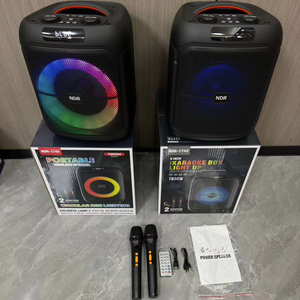 NDR-1745 音箱 2 个旋钮 20W 8 英寸 80Hz 低音圆形 RGB 灯 卡拉 OK 音箱 2 个麦克风 远程电脑 手机 - Product Image 5